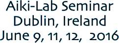 Aiki-Lab Seminar