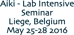 Aiki - Lab Intensive 